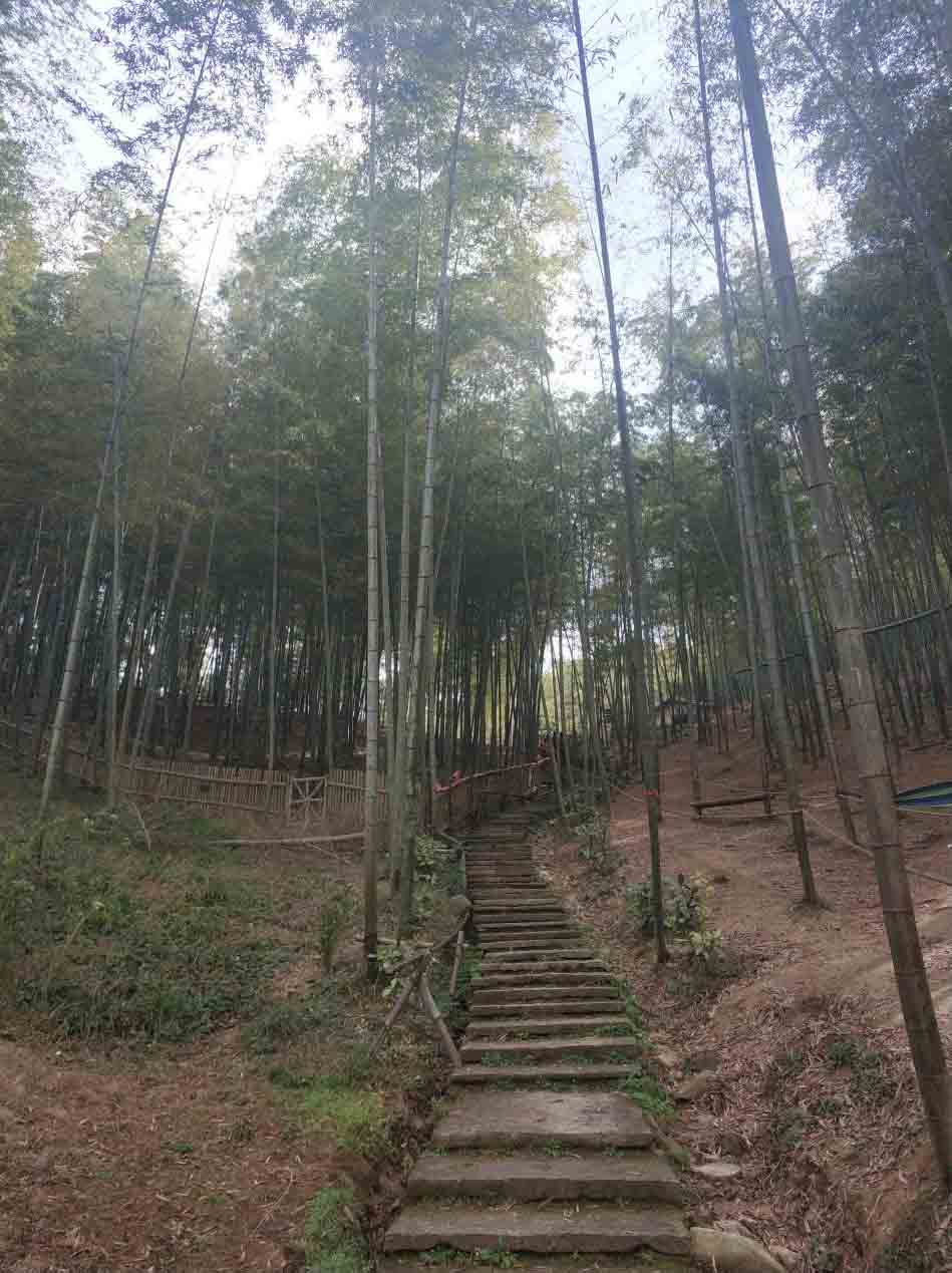 微信图片_20181205214722 微信图片_20181205214722